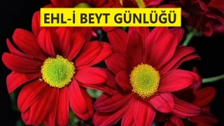 ‘Amr selam verilecek adam değildir’
