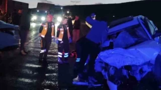 Ana oğul mezarlık dönüşü can verdi 