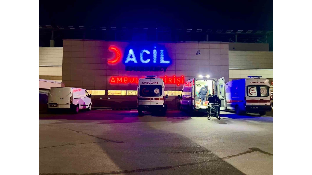 Ankara'da pitbull deheti: ocuun yz parampara oldu