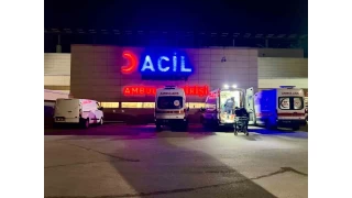 Ankara'da pitbull deheti: ocuun yz parampara oldu