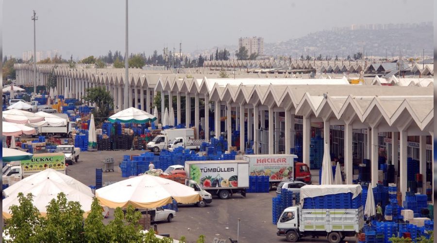 Antalya haline gelen ürün yüzde 50 azaldı