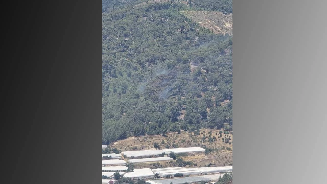 Antalya'da çıkan orman yangını kontrol altına alındı