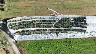 Antalya'da hortumun seralara verdii zararn boyutu gn yzne kt