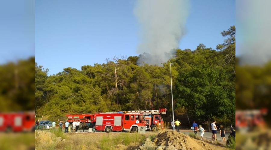 Antalya'da yine orman yangını çıktı
