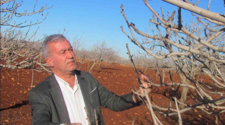 Araban Ovas� suya doydu, �ift�ilerin y�z� g�l�yor