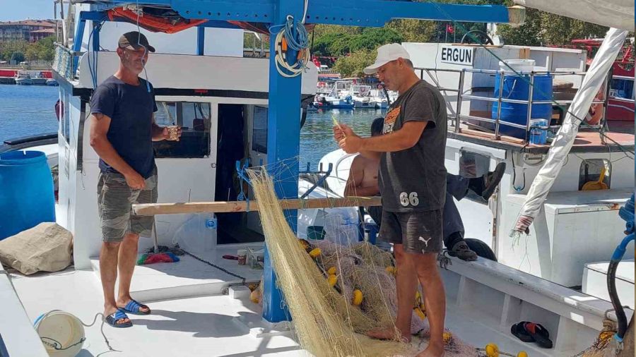 Av yasa�� kalk�yor: Palamuttan haber yok