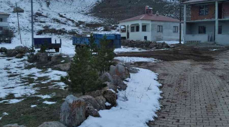 Ayıdan kaçarken yaralandı