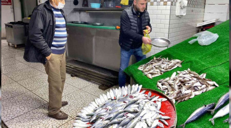 Balık halinde çinakop 50 lira