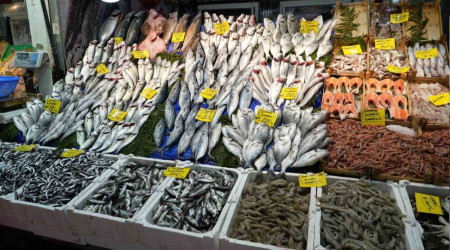 Balık tezgahlarında hamsi bolluğu yaşanıyor, fiyatlar geriledi