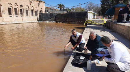 Balıklıgöl'de inceleme yapıldı