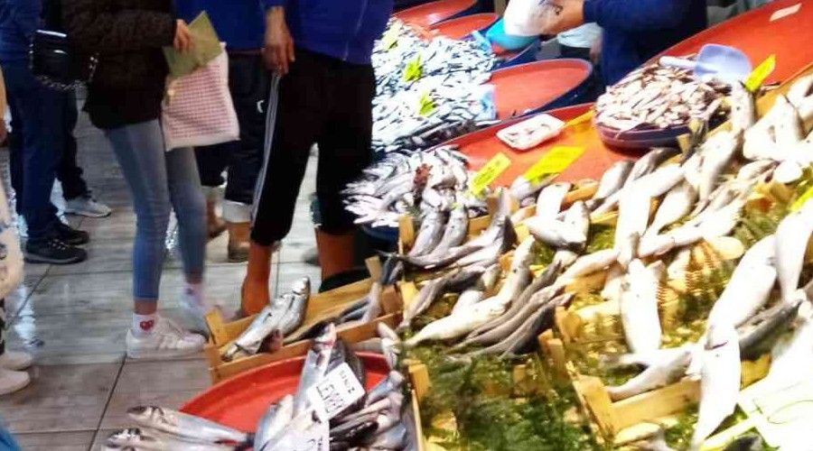 Bandırma balık halinde hamsi ve lüfer bolluğu