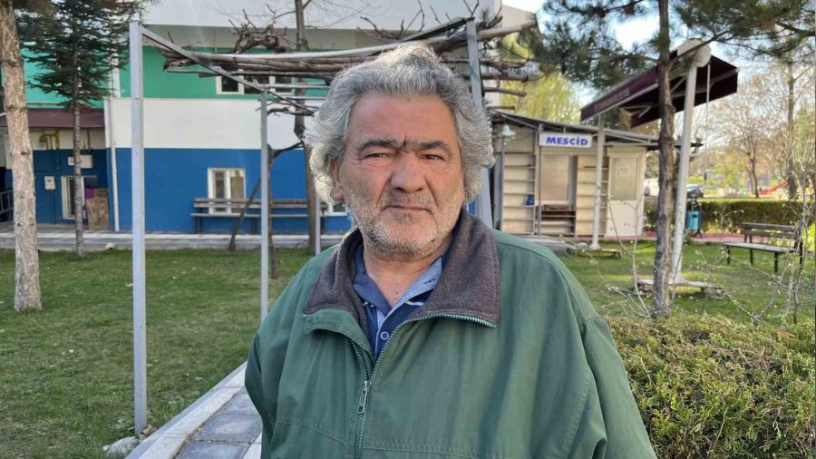 Başıboş köpekler isyan ettiriyor