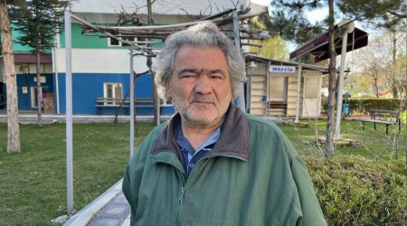 Başıboş köpekler isyan ettiriyor