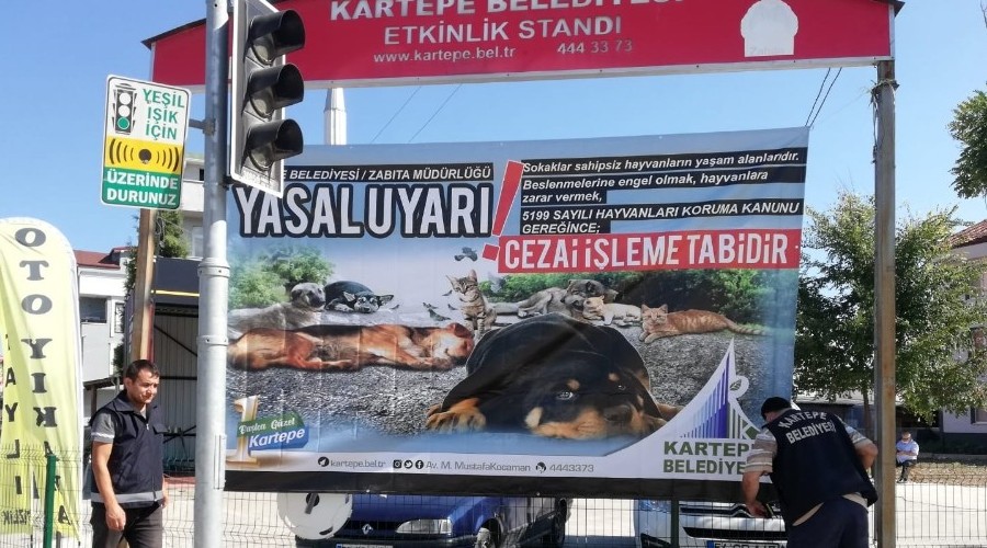 Belediye sokak hayvanlarn unutmad