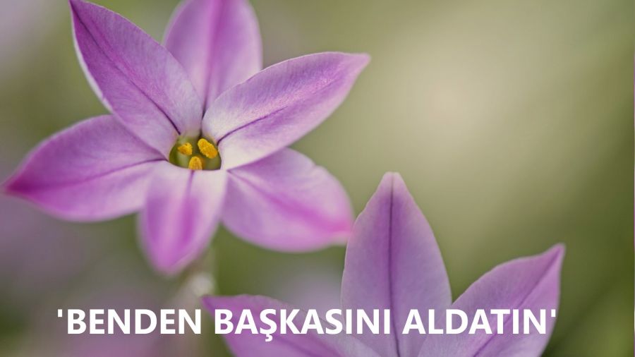 ‘Benden başkasını aldatın!’