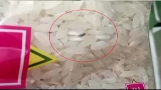 BİM markette kapalı pirinç paketinden böcek çıktı