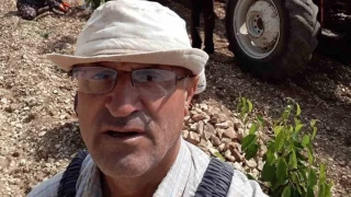 'Bin 500 liraya çalıştıracak günübirlik işçi bulamıyorum'