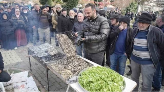 Binlerce kişi, 1 ton hamsi için bekledi