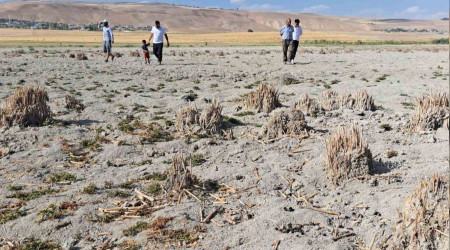 Bitlis'teki Heybeli Gölü tamamen kurudu
