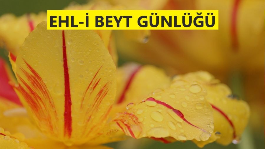 ‘Bizim mevkiimizi kim inkâr edebilir?’