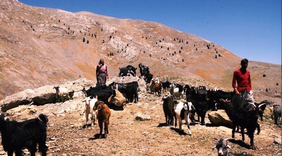 Bolkar Dalarnn Yrkleri belgesel oldu