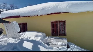 Böylesini ancak ayılar yapar!