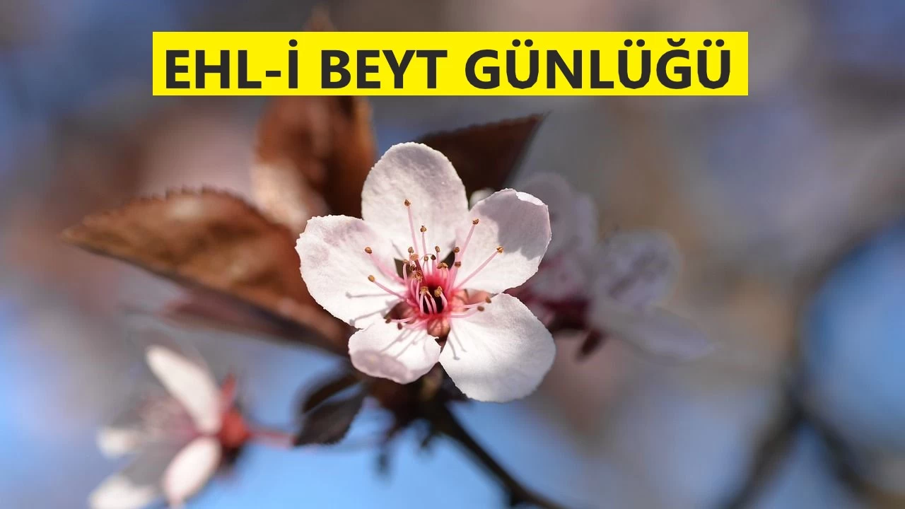 ‘Boyunlarında biatim varken benimle savaştılar’