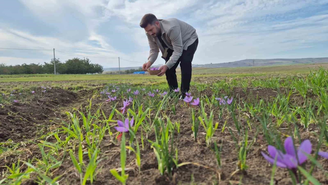 Bu baharatn kilosu 600 bin TL