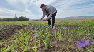 Bu baharatn kilosu 600 bin TL