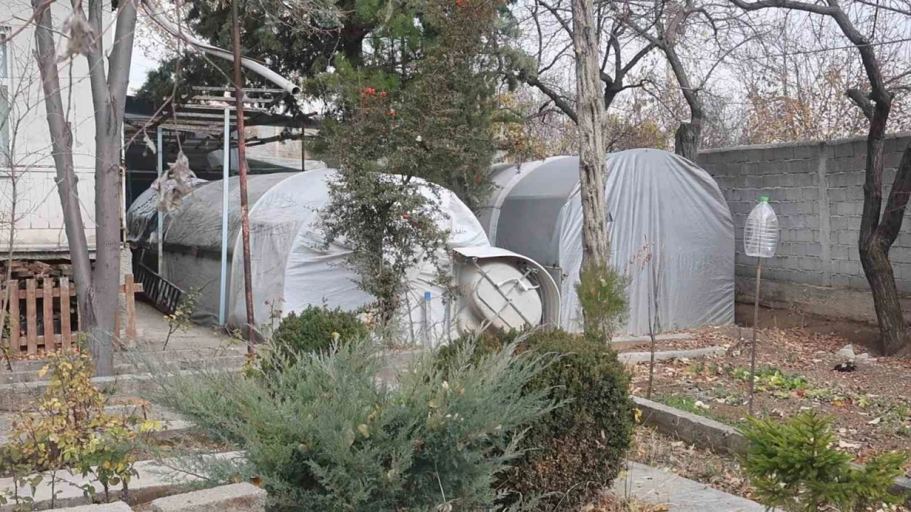 Bu serada sebze de�il klasik araba yeti�iyor