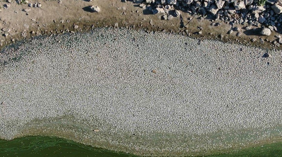 Bursa�da �evre felaketi b�y�yor