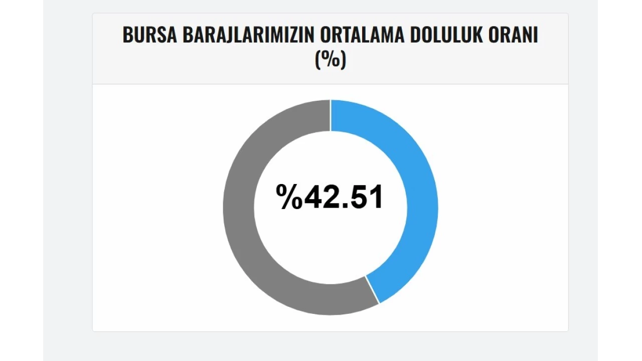 Bursa'da su endişesi