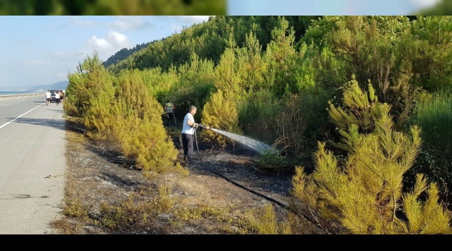 �am G�l�'nde yang�n