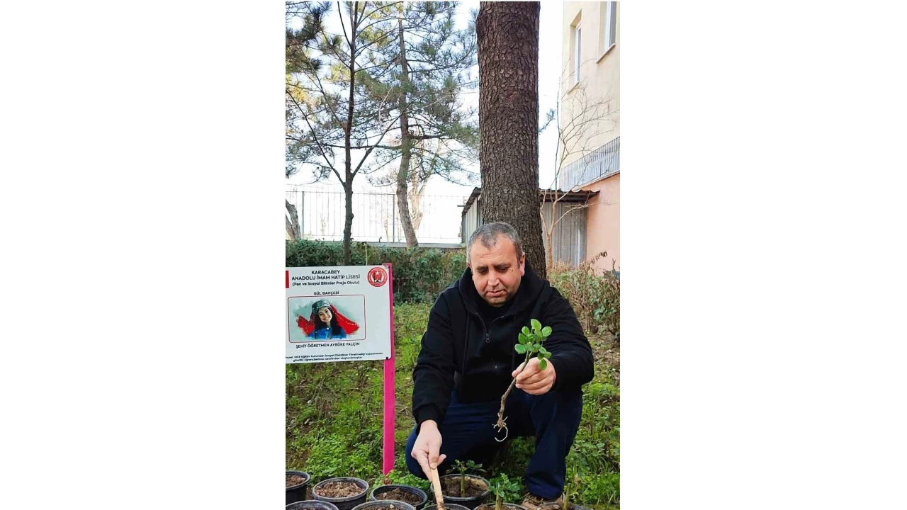Çanakkale Zaferi ve Şehitler haftasında gül fidanları toprakla buluştu
