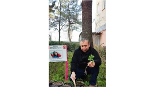 Çanakkale Zaferi ve Şehitler haftasında gül fidanları toprakla buluştu