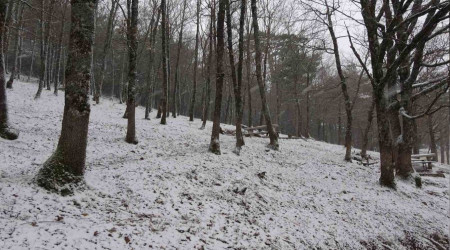 Çanakkale'de kar yağışı etkili