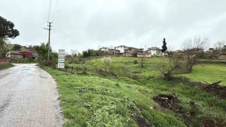 Çanakkale'de şap karantinası