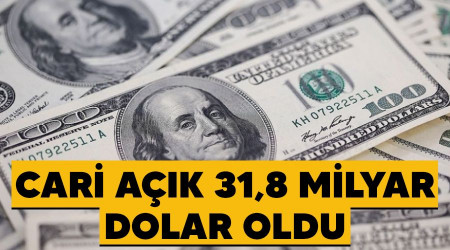 Cari ak 31,8 milyar dolar oldu