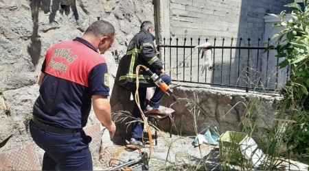 Çatıdan atlayan kedi demir parmaklıklara saplandı