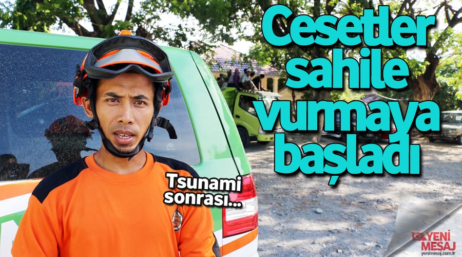 Cesetler sahile vurmaya başladı