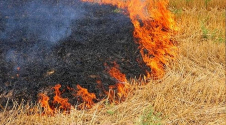 Çiftçilere 'Anız Yakmayın' uyarısı