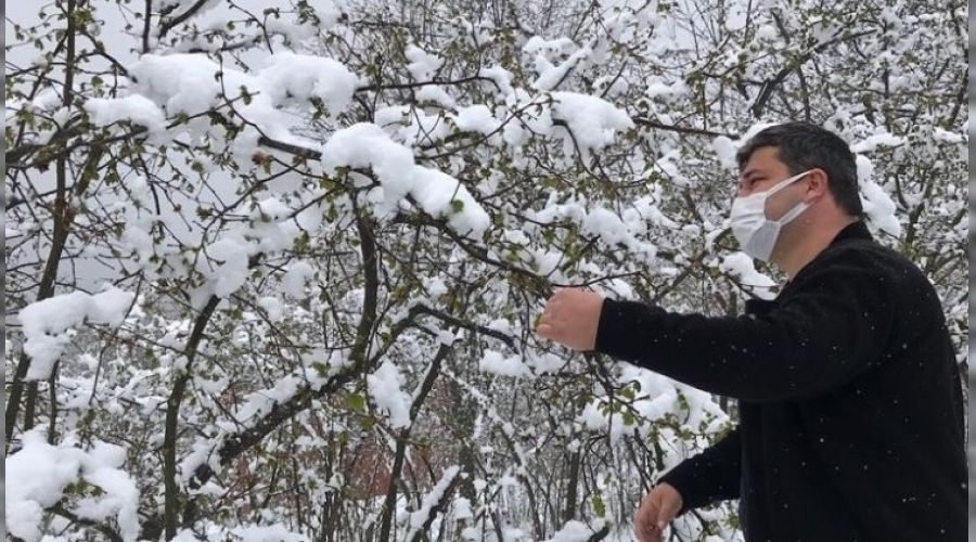 �ift�inin korkusu zirai don ger�ekle�ti