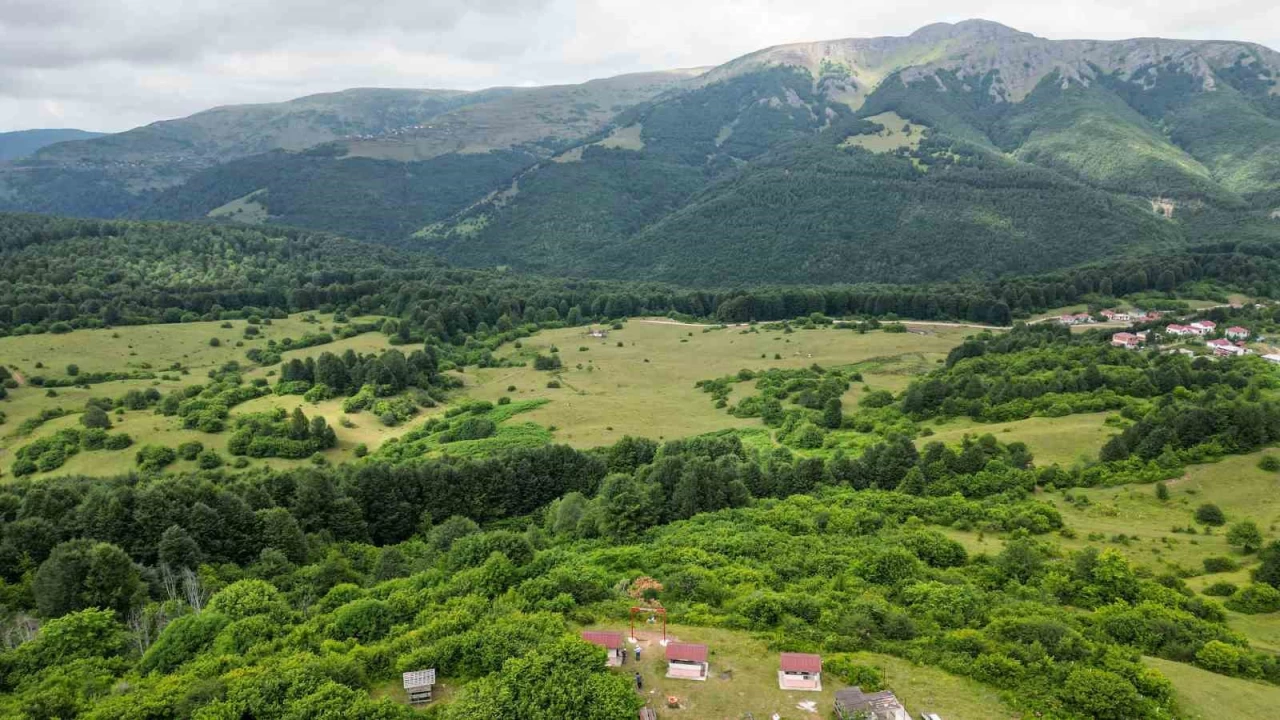Cimban Yaylas ziyaretileri mest ediyor