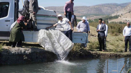 Çivril'de tarla balıkçılığı için ilk adım atıldı