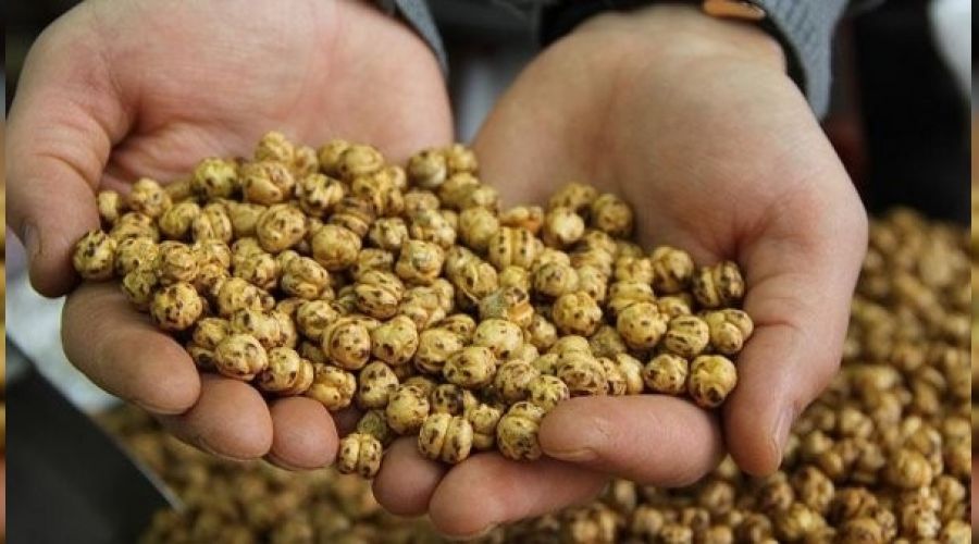 Çorum leblebisinin sağlıklı olduğu tescillendi
