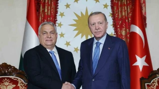Cumhurbakan Erdoan, Macaristan Babakan Orban' kabul etti