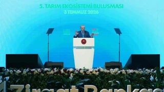 Cumhurbaşkanı Erdoğan'dan muhalefete tepki