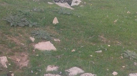 Define aramak için kazdığı kuyu mezarı oldu