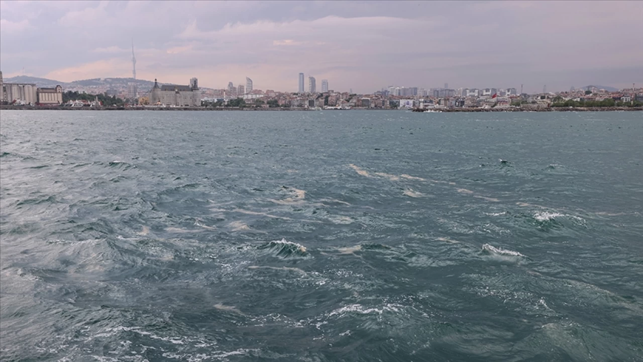 Denizlerde hayat büyük tehlike altında