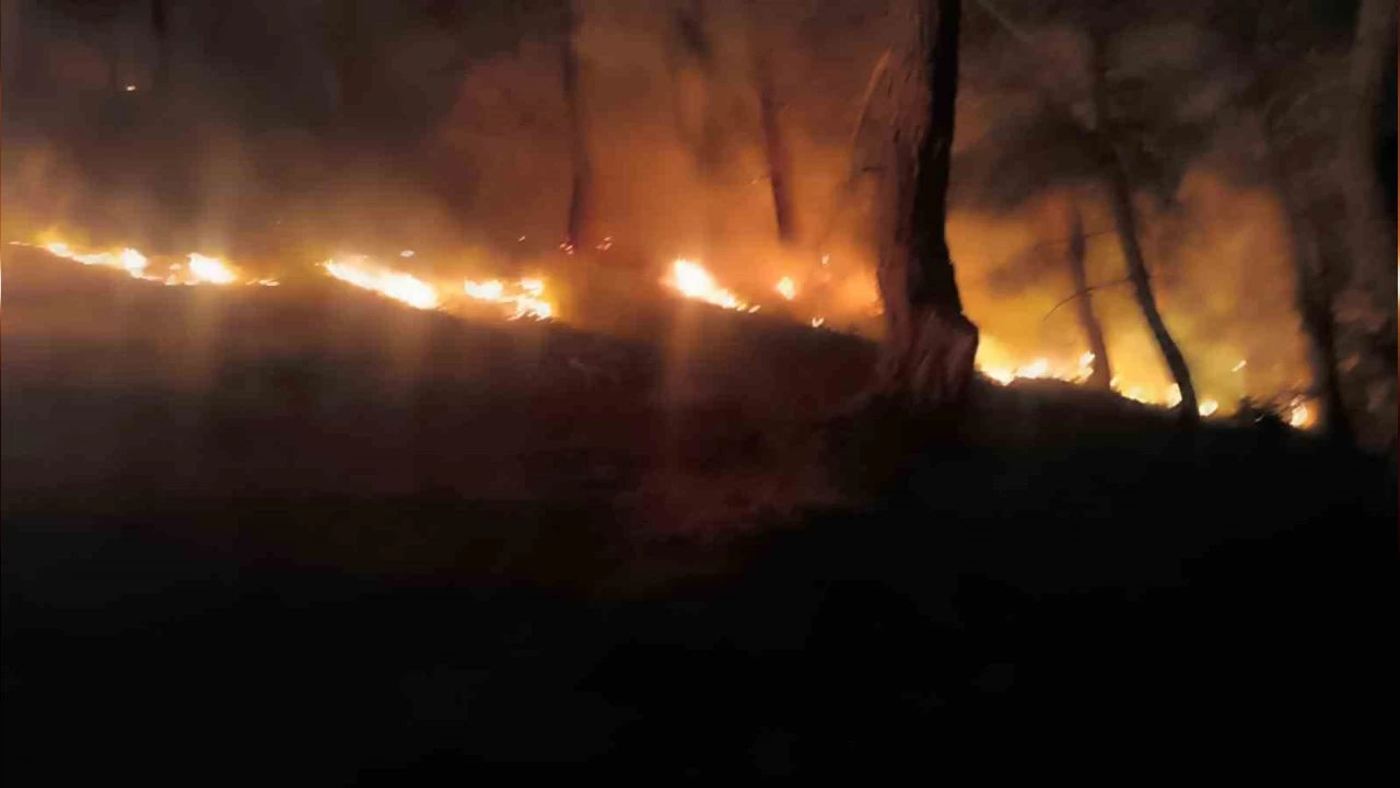 Denizli'de yangn 21 saattir devam ediyor